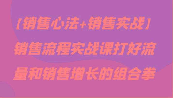 【销售心法+销售实战】销售流程实战课打好流量和销售增长的组合拳-89网创