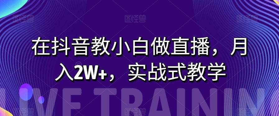 在抖音教小白做直播，月入2W+，实战式教学【揭秘】-89网创