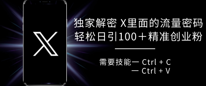 独家解密 X 里面的流量密码，复制粘贴轻松日引100+-89网创