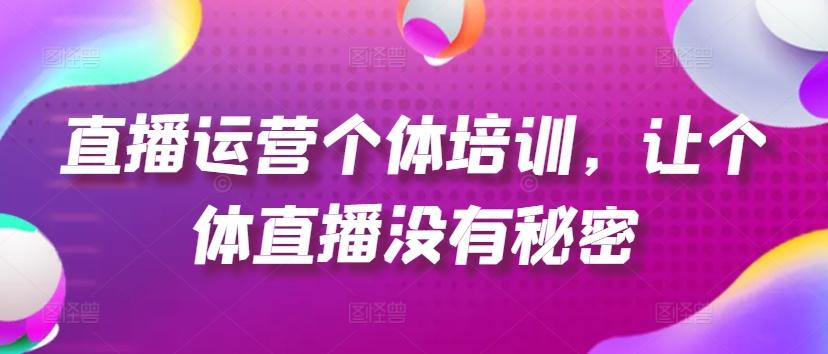 直播运营个体培训，让个体直播没有秘密，起号、货源、单品打爆、投流等玩法-89网创