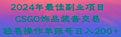 2024年最佳副业项目 CSGO饰品装备交易 轻易操作单账号日入200+-89网创