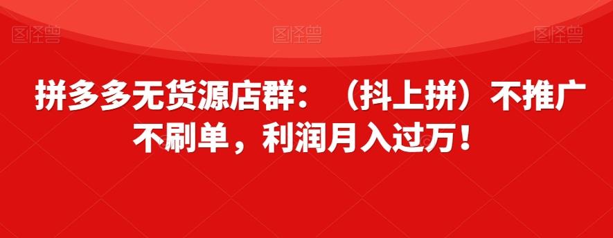 拼多多无货源店群：（抖上拼）不推广不刷单，利润月入过万！【揭秘】-89网创