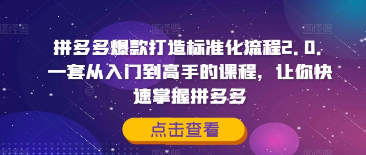 拼多多爆款打造标准化流程2.0，一套从入门到高手的课程，让你快速掌握拼多多-89网创