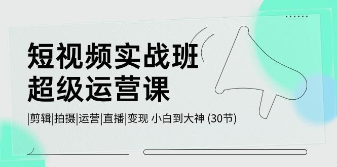 短视频实战班超级运营课 |剪辑|拍摄|运营|直播|变现 小白到大神 (30节)-89网创