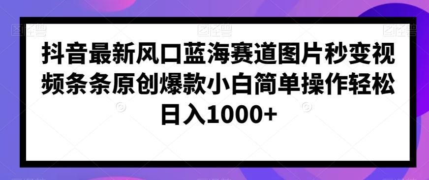 抖音最新风口蓝海赛道图片秒变视频条条原创爆款小白简单操作轻松日入1000+-89网创