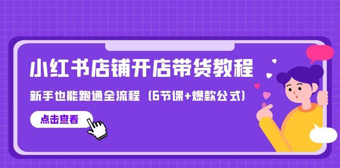 (9883期)最新小红书店铺开店带货教程，新手也能跑通全流程(6节课+爆款公式)-89网创