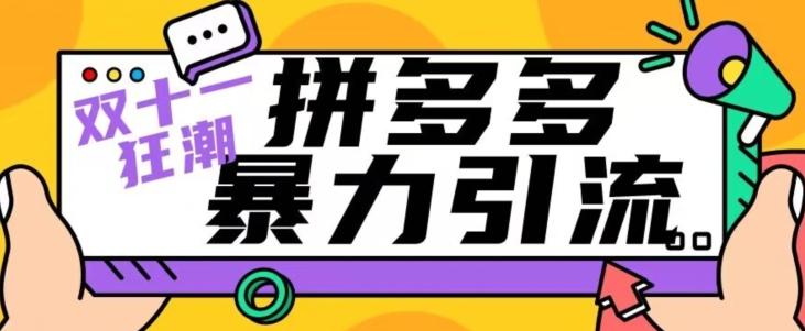 【首发】双十一拼多多暴力引流，日引300+微信-89网创
