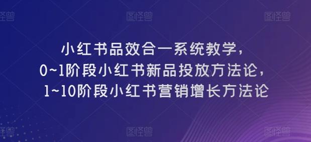 小红书品效合一系统教学，​0~1阶段小红书新品投放方法论，​1~10阶段小红书营销增长方法论-89网创