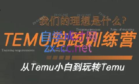 苗苗·拼多多跨境（temu）课程-89网创