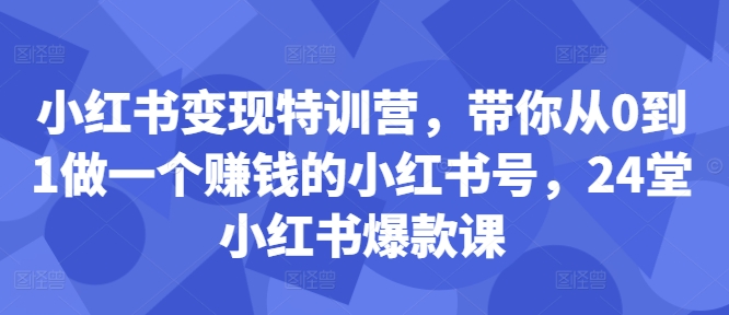 小红书变现特训营，带你从0到1做一个赚钱的小红书号，24堂小红书爆款课-89网创