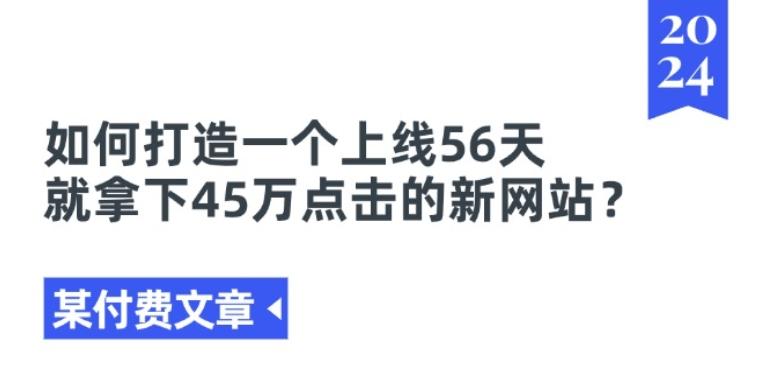 某付费文章《如何打造一个上线56天就拿下45万点击的新网站?》-89网创