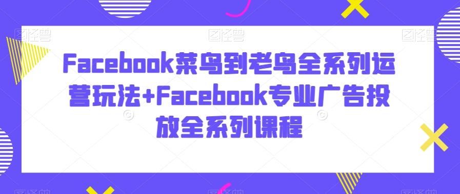 Facebook菜鸟到老鸟全系列运营玩法+Facebook专业广告投放全系列课程-89网创