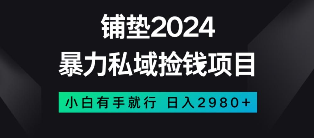 暴力私域捡钱项目，小白无脑操作，日入2980【揭秘】-89网创