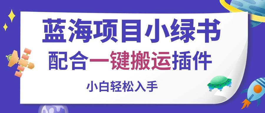 蓝海项目小绿书，配合一键搬运插件，小白轻松入手-89网创
