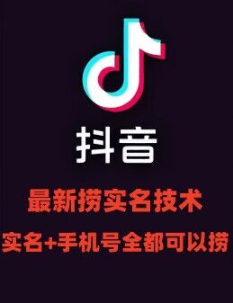 最新技术抖音捞实名+捞手机号技术，抖音直播封禁释放十名/手机号，直接替换出来!-89网创