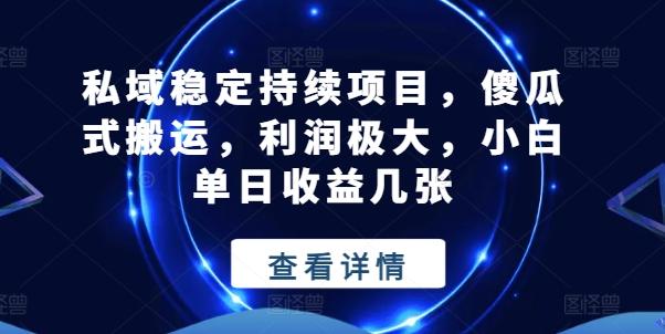 私域稳定持续项目，傻瓜式搬运，利润极大，小白单日收益几张【揭秘】-89网创