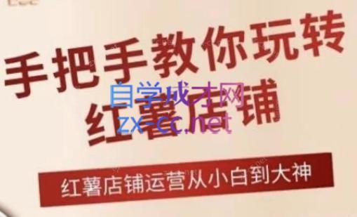 海燕老师·2024手把手教你玩转红薯店铺-89网创