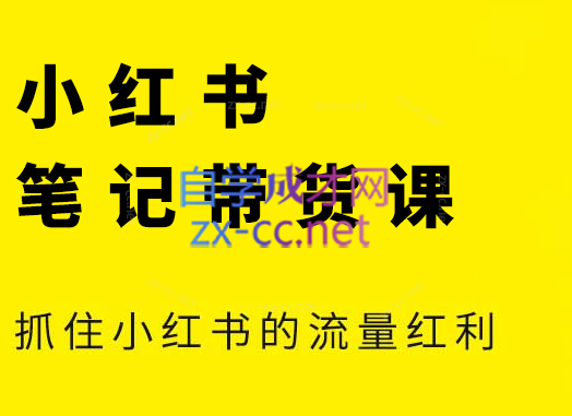 张宾·小红书笔记带货课(更新24年7月)-89网创