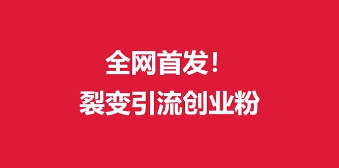 (全网首发)外面收费几千的裂变引流高质量创业粉-89网创