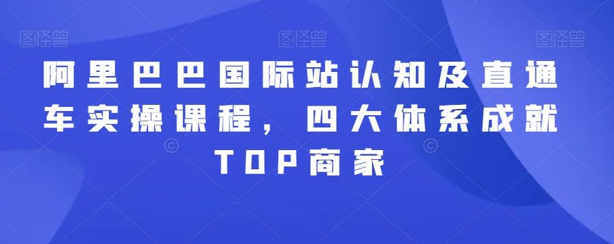 阿里巴巴国际站认知及直通车实操课程，四大体系成就TOP商家-89网创