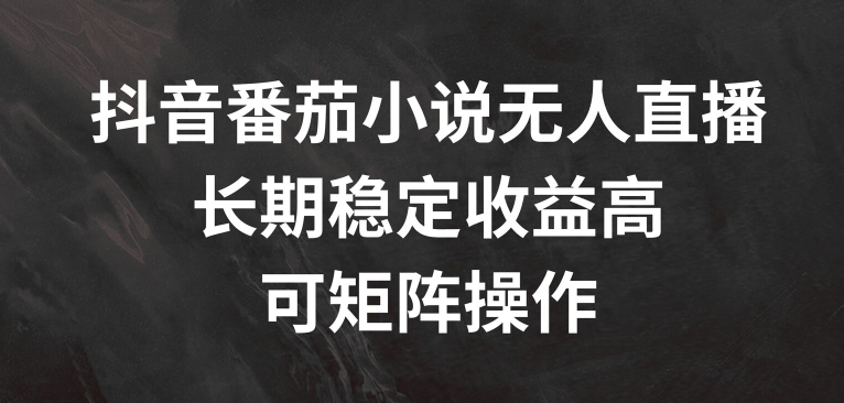 抖音番茄小说无人直播，长期稳定收益高，可矩阵操作【揭秘】-89网创