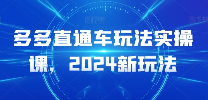 多多直通车玩法实操课，2024新玩法-89网创