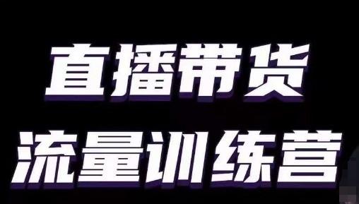 直播带货流量训练营，小白主播必学直播课-89网创