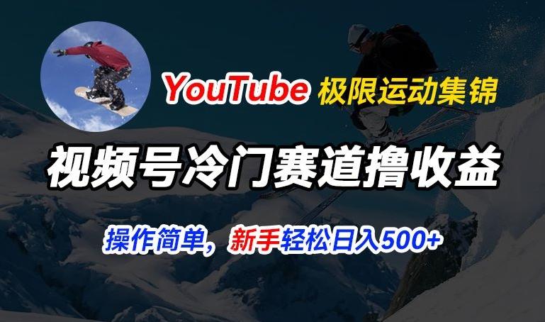 视频号冷门赛道撸收益，YouTube搬运极限运动集锦，暴力起号，操作简单流量高，轻松日入5张【揭秘】-89网创
