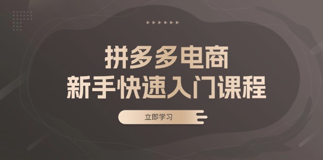 拼多多电商新手快速入门课程：涵盖基础、实战与选款，助力小白轻松上手-89网创