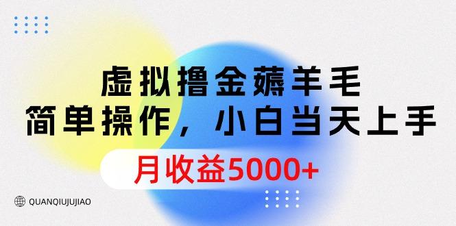 (9864期)虚拟撸金薅羊毛，简单操作，小白当天上手，月收益5000+-89网创