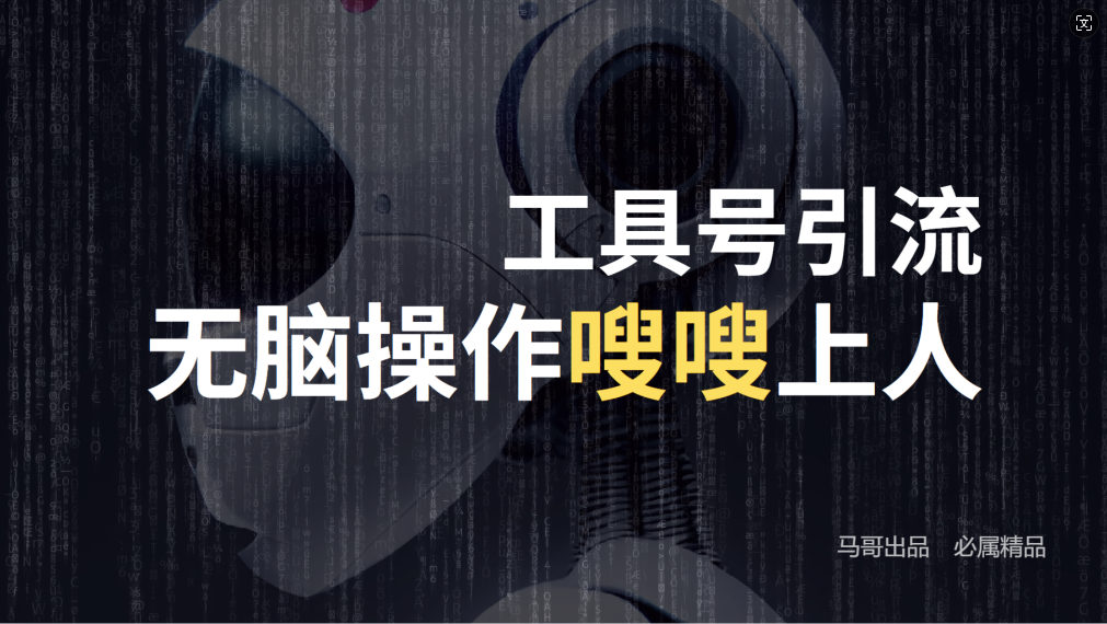 24年抖音最新工具号日引流300+创业粉，日入5000+-89网创
