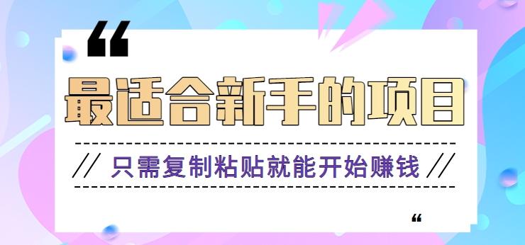 2024最适合新手操作的项目，新手小白只需复制粘贴就能开始赚钱【视频教程+软件】-89网创