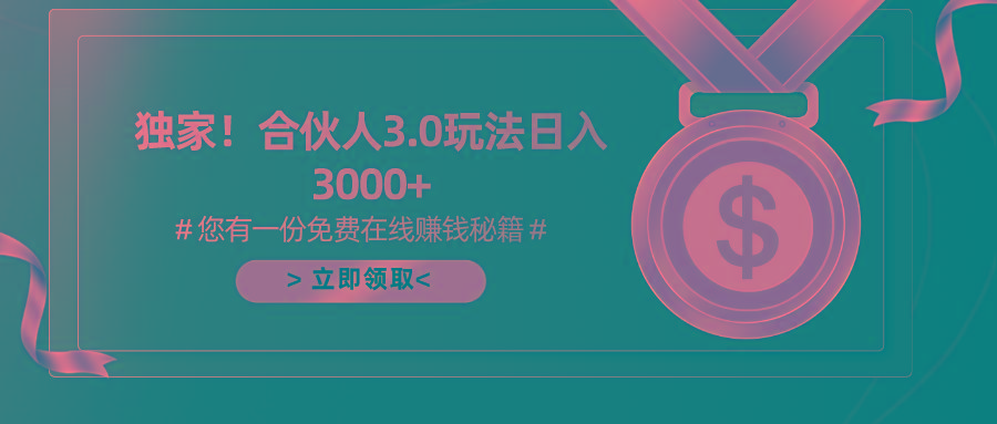游戏合伙人3.0，日入3000+，无限扩大的蓝海项目-89网创