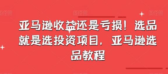 亚马逊收益还是亏损！选品就是选投资项目，亚马逊选品教程-89网创