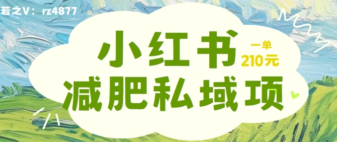 小红书减肥粉，私域变现项目，一单就达210元，小白也能轻松上手【揭秘】-89网创