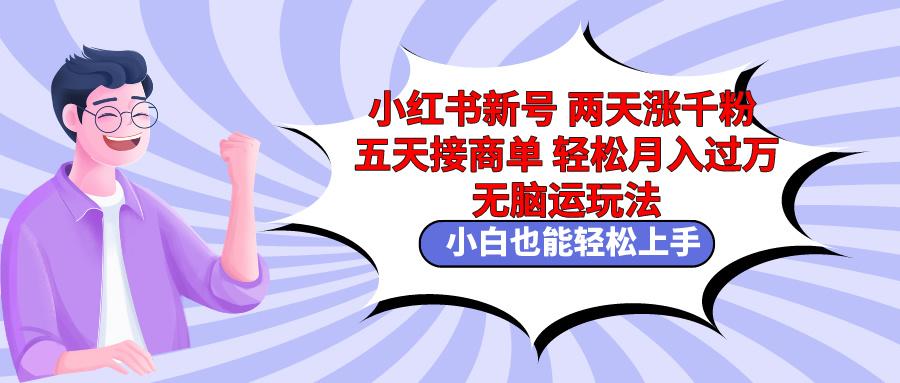 小红书新号两天涨千粉五天接商单轻松月入过万 无脑搬运玩法 小白也能轻…-89网创
