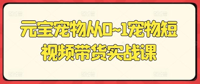 元宝宠物从0~1宠物短视频带货实战课-89网创