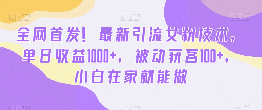 全网首发！最新引流女粉技术，单日收益1000+，被动获客100+，小白在家就能做【揭秘】-89网创