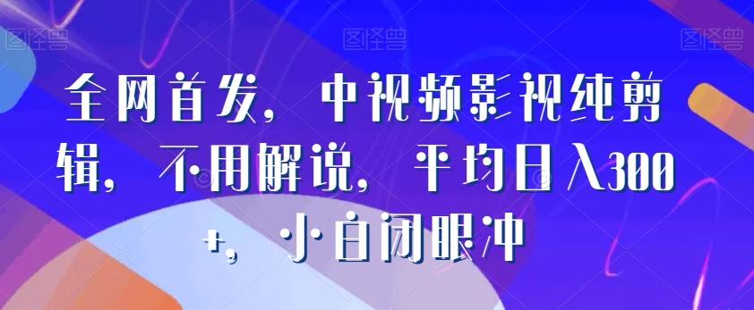全网首发，中视频影视纯剪辑，不用解说，平均日入300+，小白闭眼冲-89网创