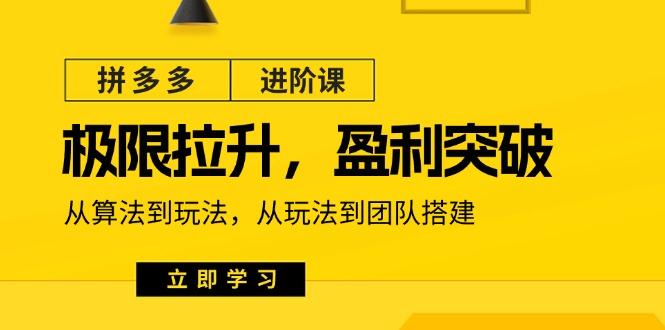 拼多多·进阶课：极限拉升/盈利突破：从算法到玩法 从玩法到团队搭建-18节-89网创