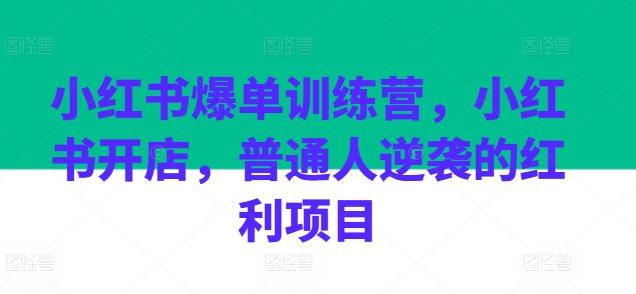 小红书爆单训练营，小红书开店，普通人逆袭的红利项目-89网创