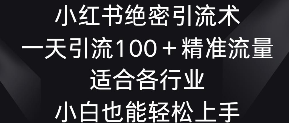 小红书绝密引流术，一天引流100+精准流量，适合各个行业，小白也能轻松上手【揭秘】-89网创