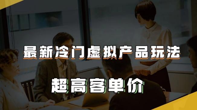 最新冷门虚拟产品玩法，超高客单价，月入2-3万＋【揭秘】-89网创