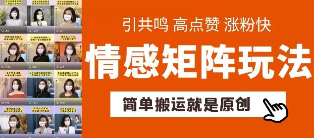 简单搬运，情感矩阵玩法，涨粉速度快，可带货，可起号【揭秘】-89网创