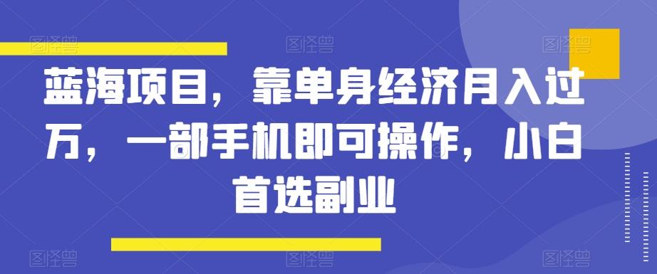 蓝海项目，靠单身经济月入过万，一部手机即可操作，小白首选副业【揭秘】-89网创