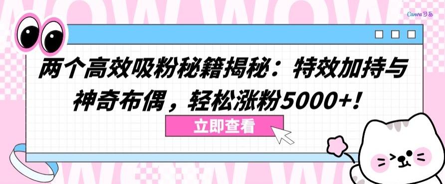 两个高效吸粉秘籍揭秘：特效加持与神奇布偶，轻松涨粉5000+【揭秘】-89网创