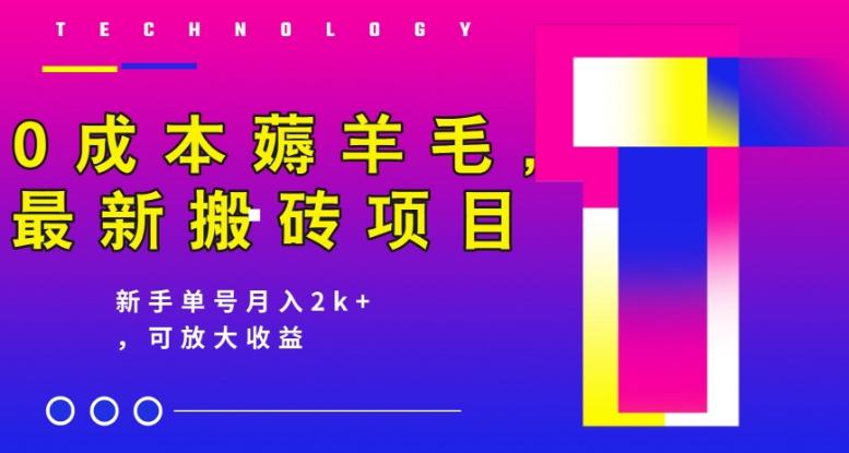 0成本薅羊毛，最新搬砖项目，新手单号月入2k+，可放大操作-89网创