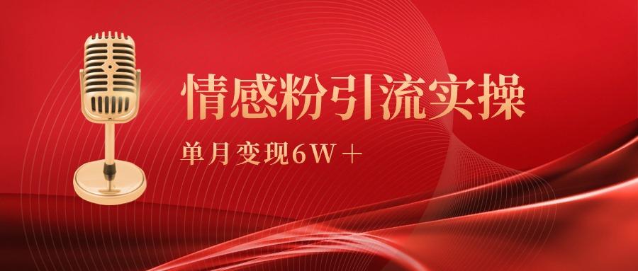 (9473期)单月变现6w+，情感粉引流变现实操课-89网创