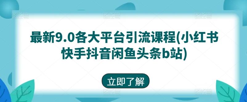 最新9.0各大平台引流课程(小红书快手抖音闲鱼头条b站)-89网创