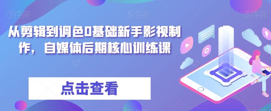 从剪辑到调色0基础新手影视制作，自媒体后期核心训练课-89网创